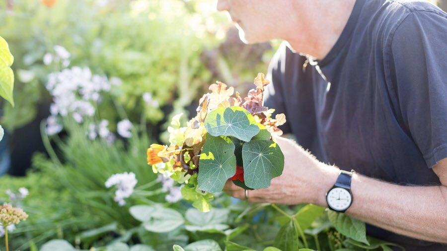 Creating your perfect edible (and exquisite) backyard in containers