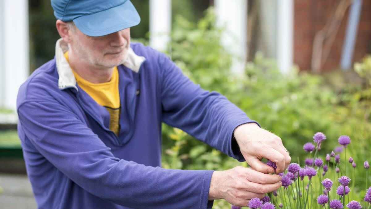 What to Study from a Robust Rising Yr: Overcoming Gardening Challenges