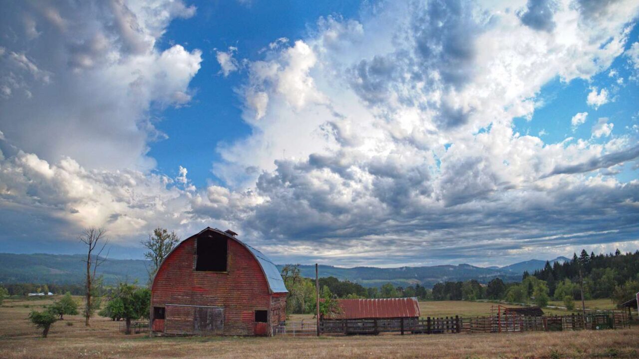 Shopping for Land for a Homestead or Small Farm