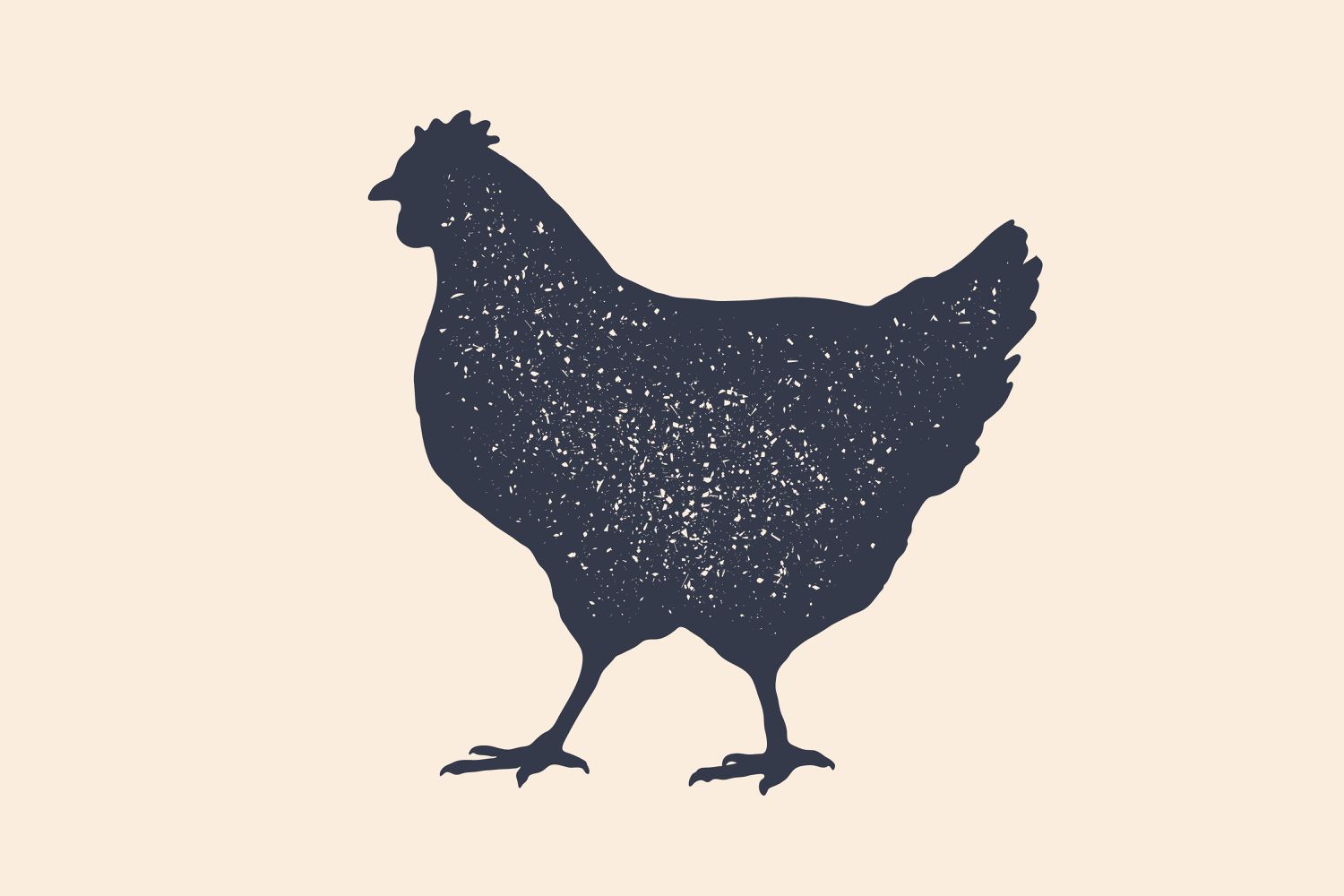 How Lengthy Do Chickens Reside?