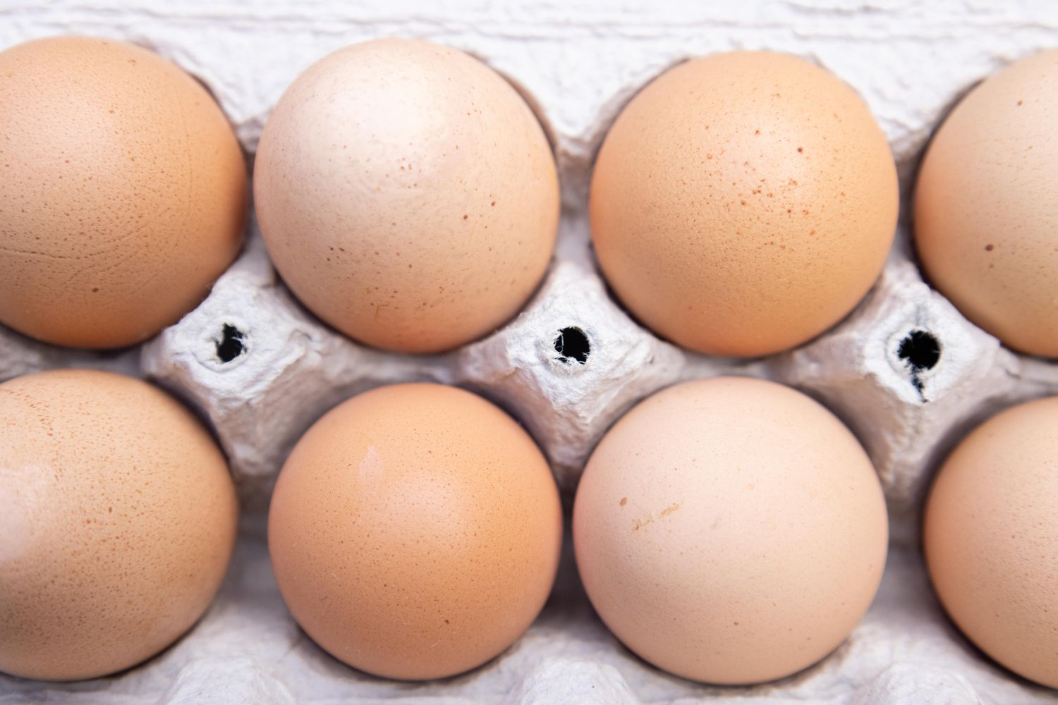 Find out how to Begin an Egg Enterprise